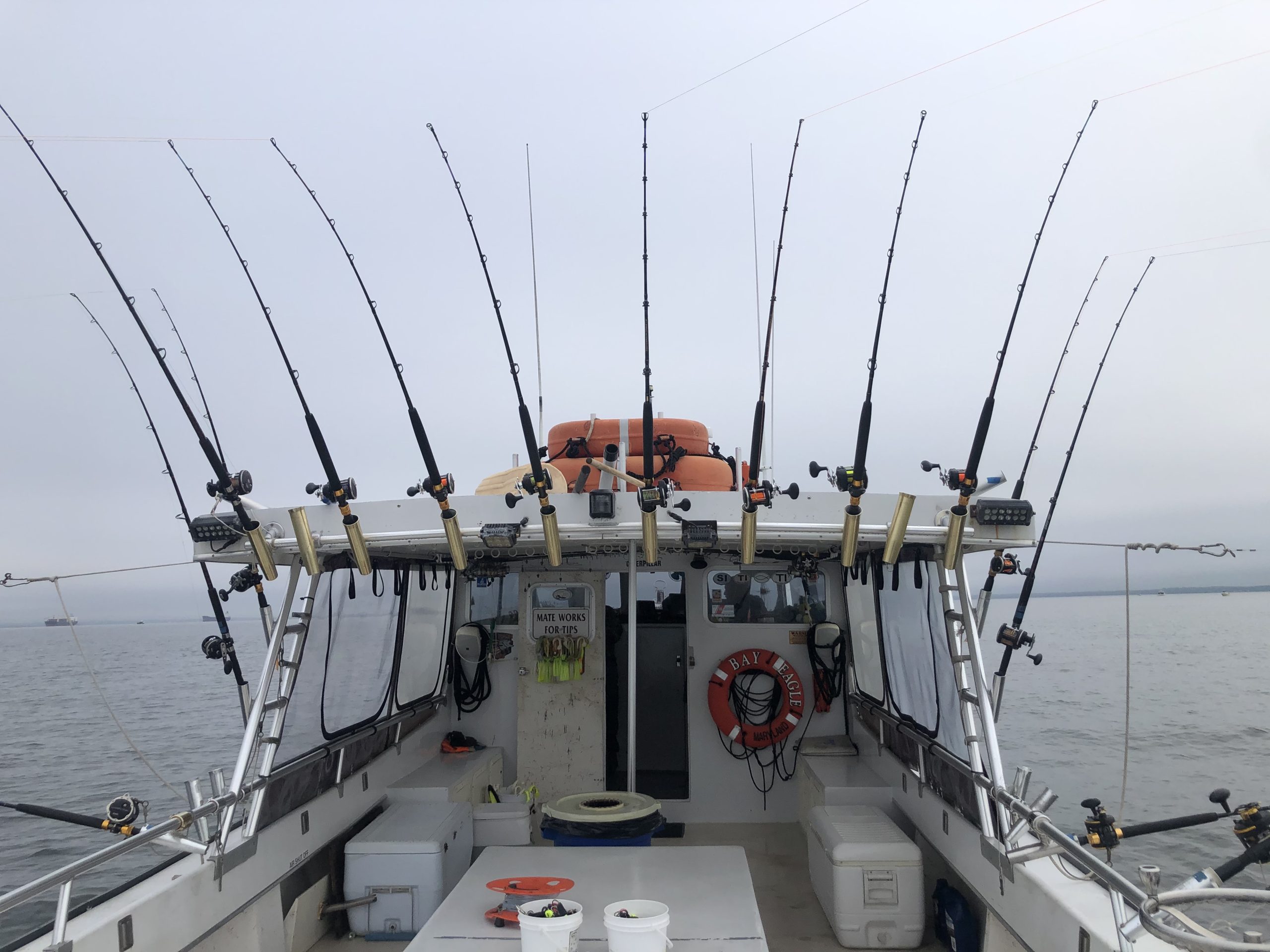 Annapolis Fishing Charters Chesapeake Bay Fishing Charter Trip